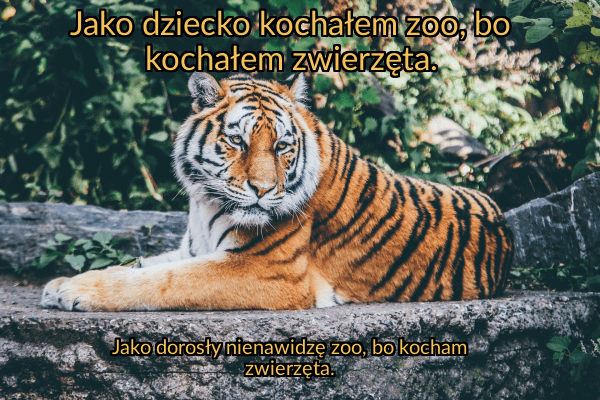 Jako dziecko kochałem zoo, bo kochałem zwierzęta.